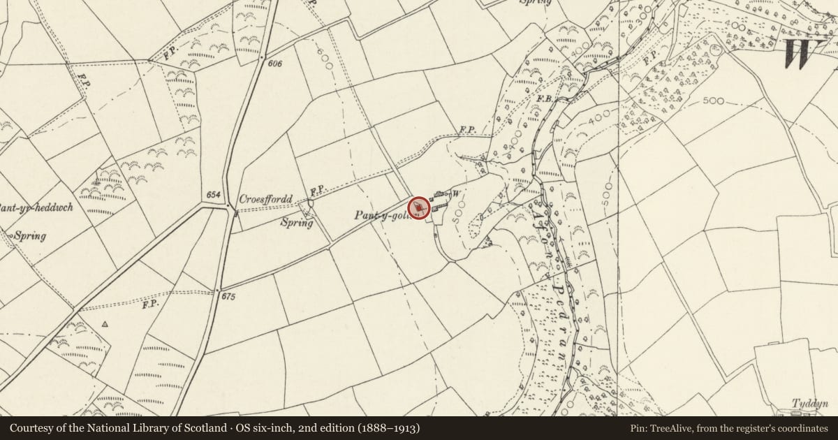Ordnance Survey six-inch map, 2nd edition (1888–1913) covering the location of Pantygollen, Clydau, Pembrokeshire, with a pin at the register's coordinates