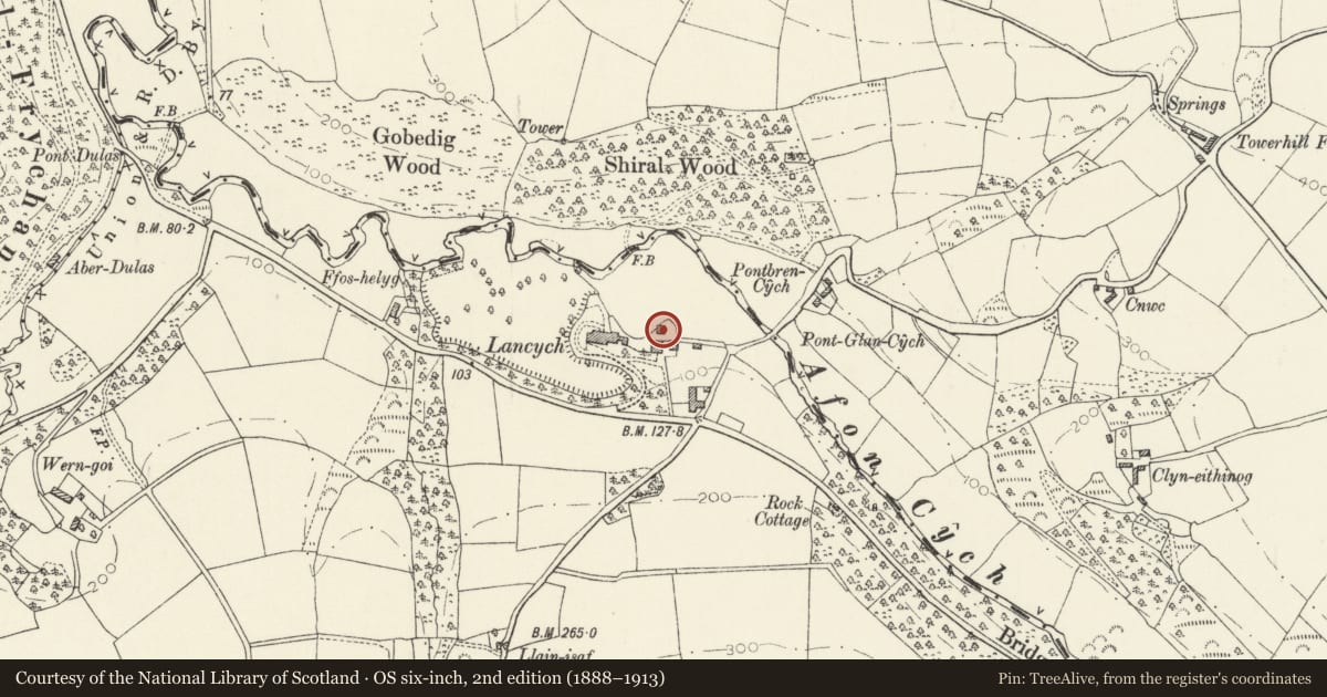 Ordnance Survey six-inch map, 2nd edition (1888–1913) covering the location of Pigsty range to N of stable-yard at Lancych, Clydau, Pembrokeshire, with a pin at the register's coordinates