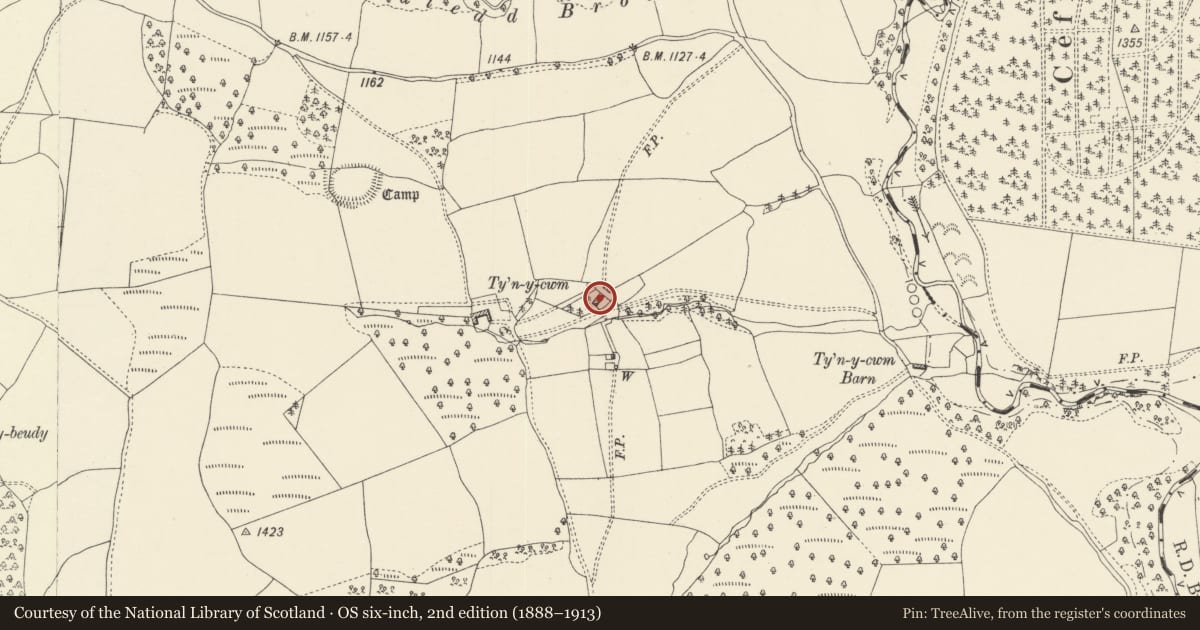 Ordnance Survey six-inch map, 2nd edition (1888–1913) covering the location of Tynycwm, Beguildy, Powys, with a pin at the register's coordinates