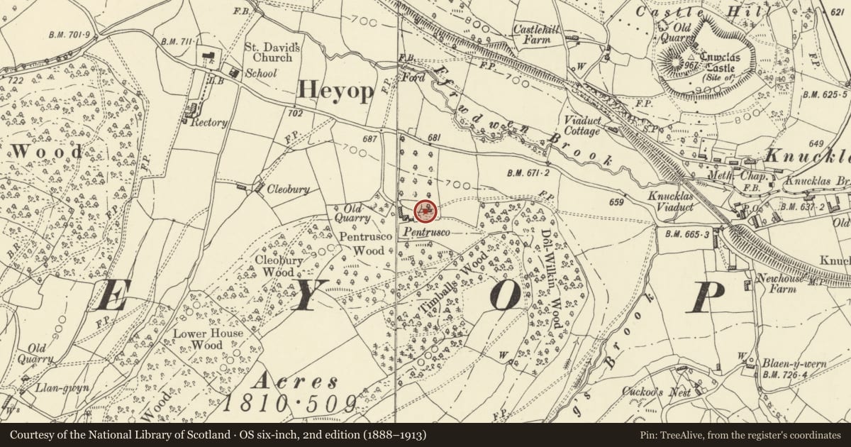 Ordnance Survey six-inch map, 2nd edition (1888–1913) covering the location of Barn at Pentrusco, Beguildy, Powys, with a pin at the register's coordinates