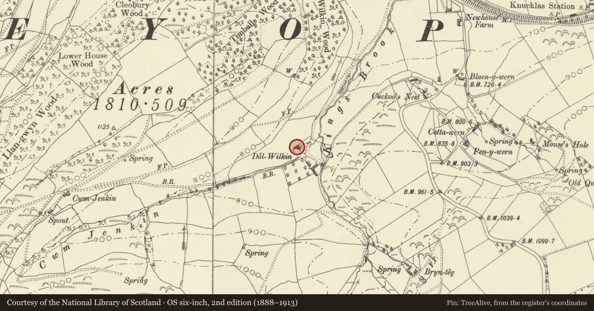Ordnance Survey six-inch map, 2nd edition (1888–1913) covering the location of Lower Dolwilkin, Beguildy, Powys, with a pin at the register's coordinates