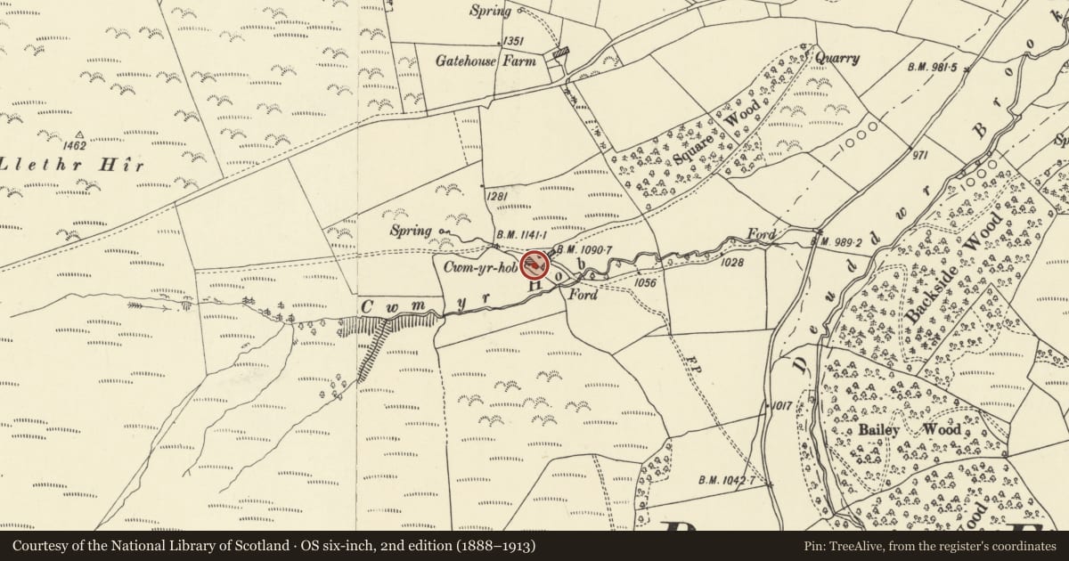 Ordnance Survey six-inch map, 2nd edition (1888–1913) covering the location of Old house & attached farm range at Cwm yr hob Farm, Beguildy, Powys, with a pin at the register's coordinates