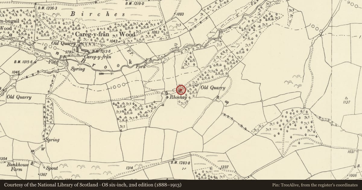 Ordnance Survey six-inch map, 2nd edition (1888–1913) covering the location of Old house at Rhoshay, Beguildy, Powys, with a pin at the register's coordinates