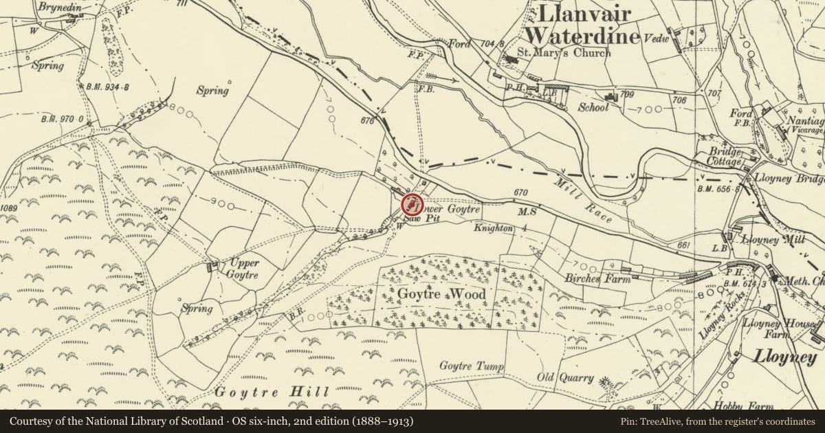Ordnance Survey six-inch map, 2nd edition (1888–1913) covering the location of Lower Goytre Farmhouse, Beguildy, Powys, with a pin at the register's coordinates