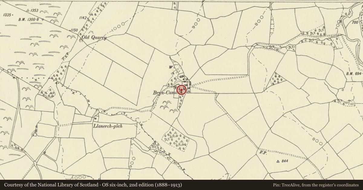 Ordnance Survey six-inch map, 2nd edition (1888–1913) covering the location of Bryn Camlo, Abbey Cwmhir, Powys, with a pin at the register's coordinates