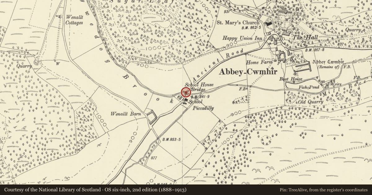 Ordnance Survey six-inch map, 2nd edition (1888–1913) covering the location of Clywedog Bridge, Abbey Cwmhir, Powys, with a pin at the register's coordinates