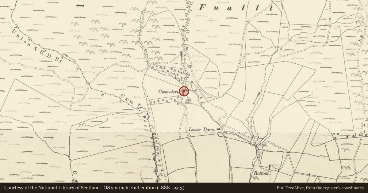 Ordnance Survey six-inch map, 2nd edition (1888–1913) covering the location of Cwm Derw, Abbey Cwmhir, Powys, with a pin at the register's coordinates