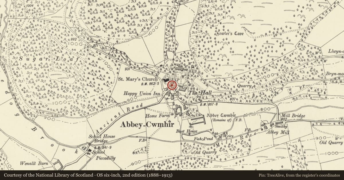 Ordnance Survey six-inch map, 2nd edition (1888–1913) covering the location of Footbridge & attached walls and gateway on the SE side of Abbey Cwmhir churchyard, Powys, with a pin at the register's coordinates
