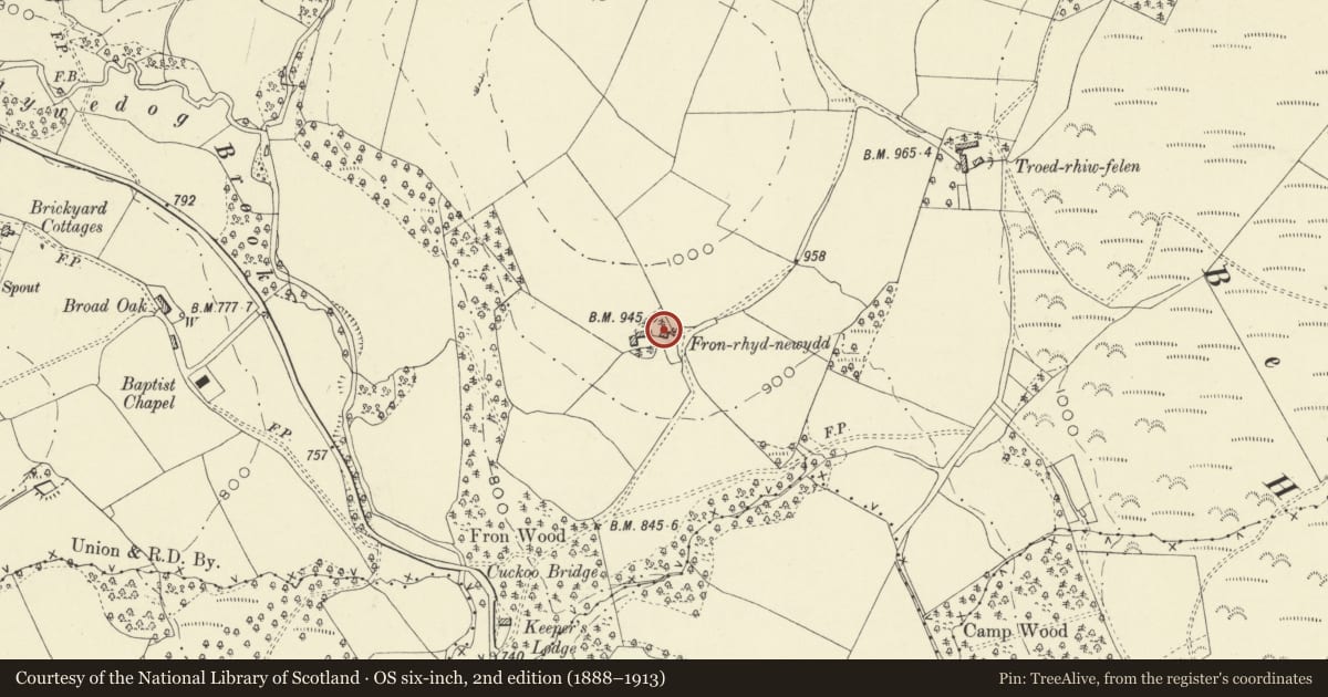Ordnance Survey six-inch map, 2nd edition (1888–1913) covering the location of Fronrhydnewydd, Abbey Cwmhir, Powys, with a pin at the register's coordinates