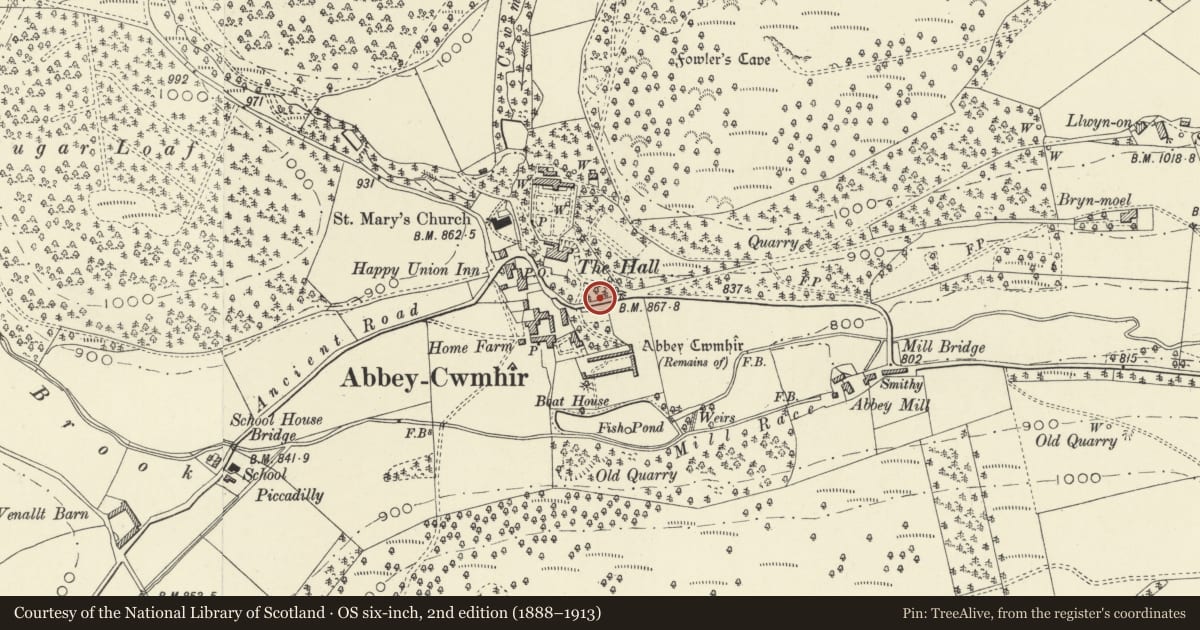 Ordnance Survey six-inch map, 2nd edition (1888–1913) covering the location of Gate piers, gates and attached walls at entrance to The Hall, Abbey Cwmhir, Powys, with a pin at the register's coordinates
