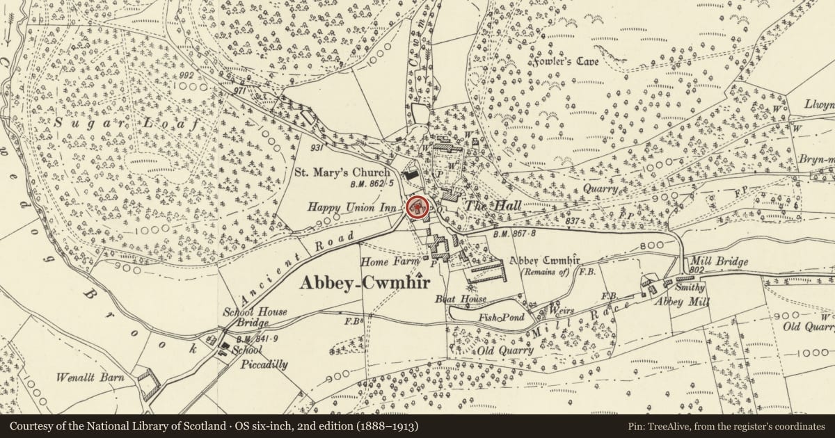 Ordnance Survey six-inch map, 2nd edition (1888–1913) covering the location of Happy Union Inn, Abbey Cwmhir, Powys, with a pin at the register's coordinates