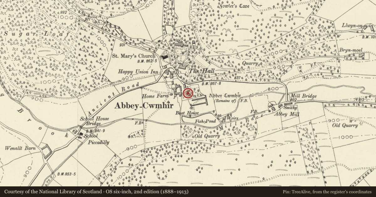 Ordnance Survey six-inch map, 2nd edition (1888–1913) covering the location of Home Farmhouse, Abbey Cwmhir, Powys, with a pin at the register's coordinates