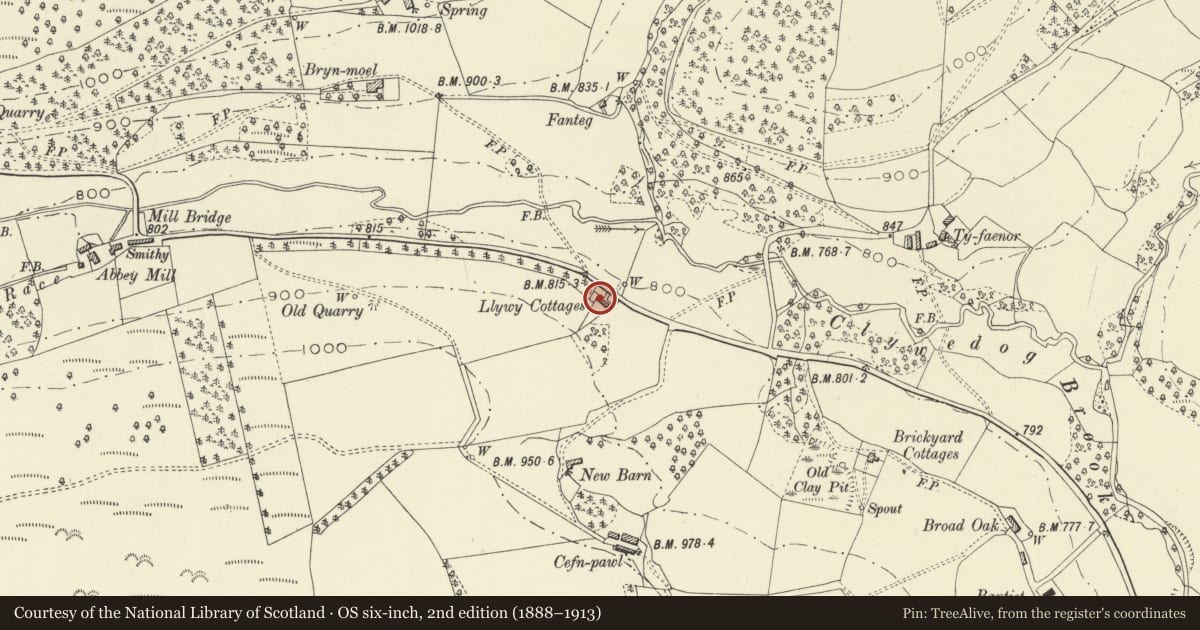Ordnance Survey six-inch map, 2nd edition (1888–1913) covering the location of Llywy Cottage, Abbey Cwmhir, Powys, with a pin at the register's coordinates