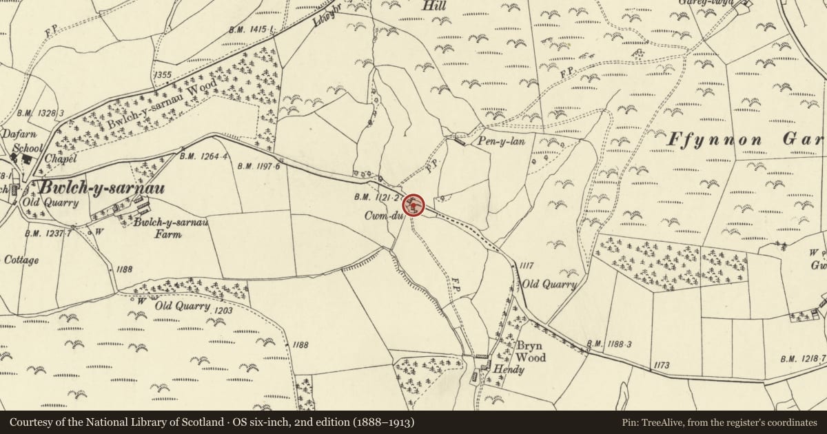 Ordnance Survey six-inch map, 2nd edition (1888–1913) covering the location of Lower Cwm Du, Abbey Cwmhir, Powys, with a pin at the register's coordinates