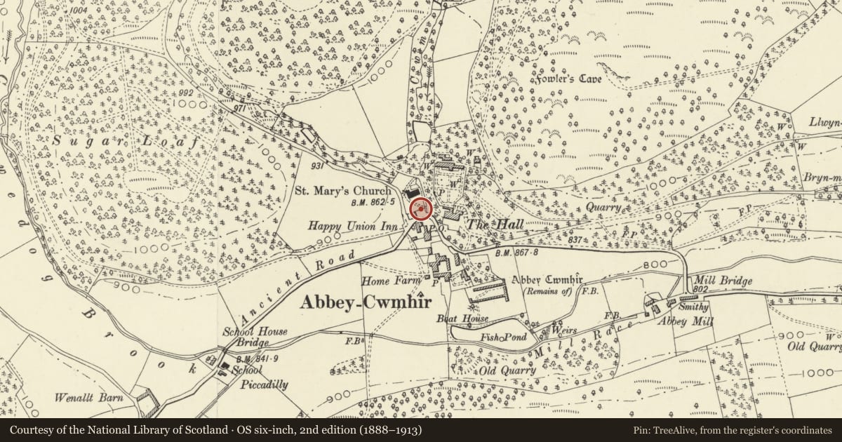 Ordnance Survey six-inch map, 2nd edition (1888–1913) covering the location of Lych gate and attached walls, Abbey Cwmhir churchyard, Powys, with a pin at the register's coordinates