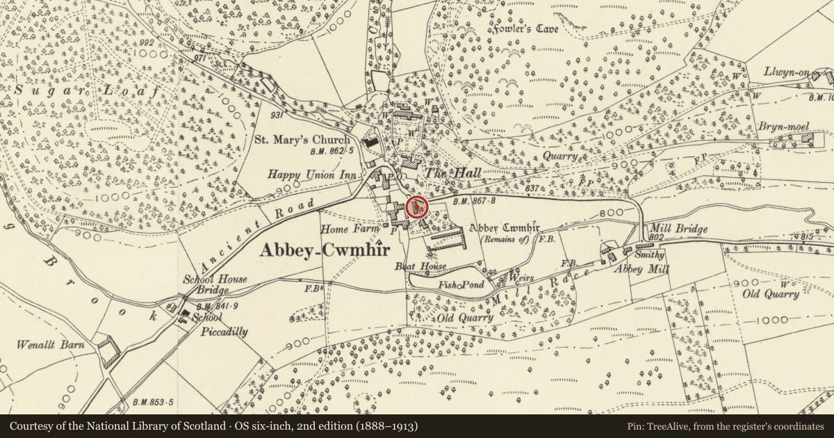 Ordnance Survey six-inch map, 2nd edition (1888–1913) covering the location of NE farm range at Home Farm, Abbey Cwmhir, Powys, with a pin at the register's coordinates