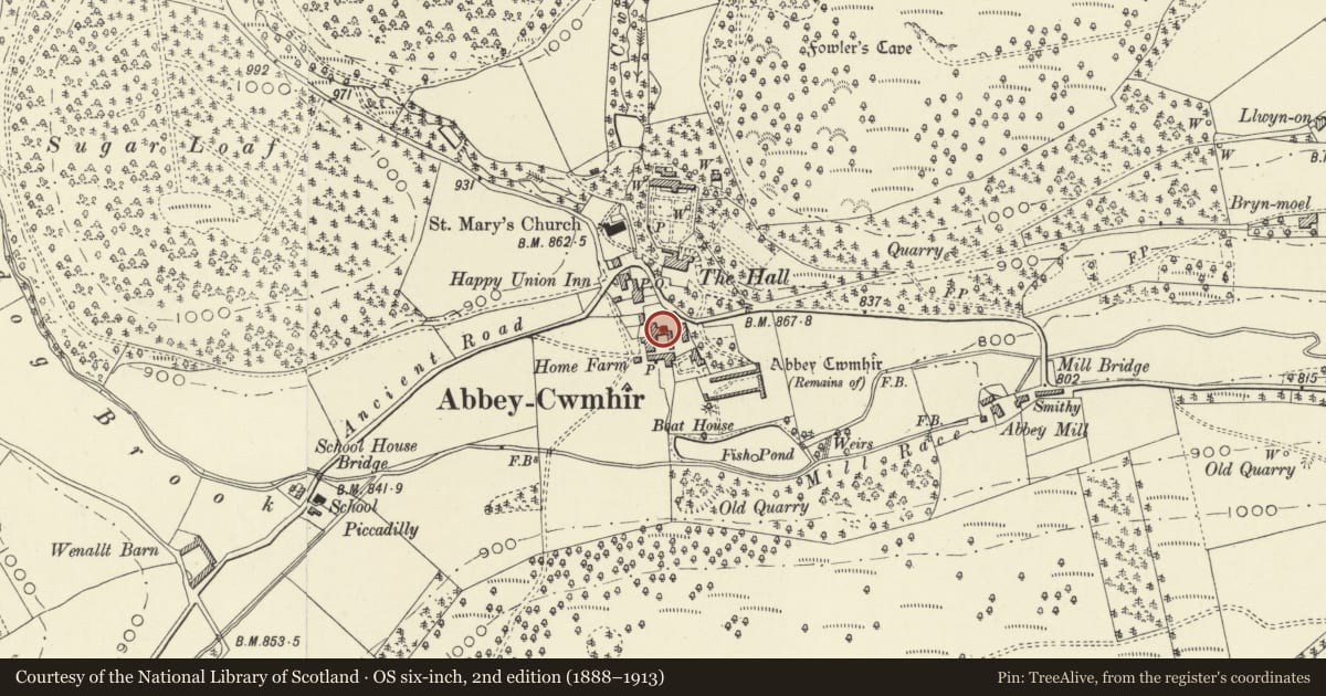 Ordnance Survey six-inch map, 2nd edition (1888–1913) covering the location of NW farm range at Home Farm, Abbey Cwmhir, Powys, with a pin at the register's coordinates
