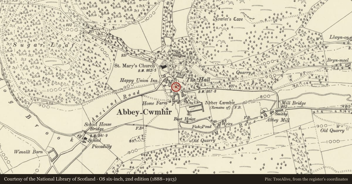 Ordnance Survey six-inch map, 2nd edition (1888–1913) covering the location of Telephone Call-box at entrance to Home Farm, Abbey Cwmhir, Powys, with a pin at the register's coordinates
