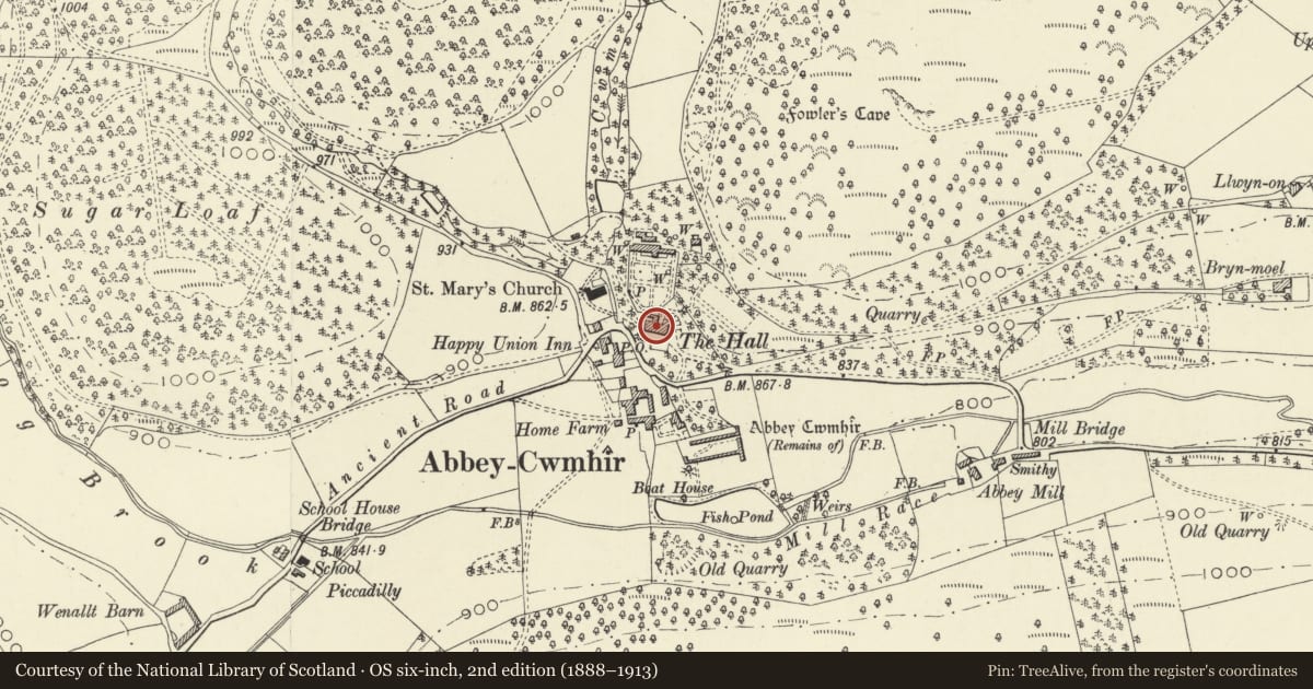 Ordnance Survey six-inch map, 2nd edition (1888–1913) covering the location of The Hall, Abbey Cwmhir, Powys, with a pin at the register's coordinates