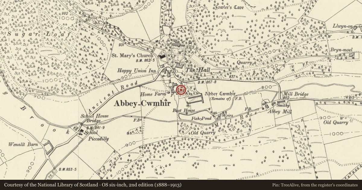 Ordnance Survey six-inch map, 2nd edition (1888–1913) covering the location of Tympanum in garden wall at Home Farm, Abbey Cwmhir, Powys, with a pin at the register's coordinates