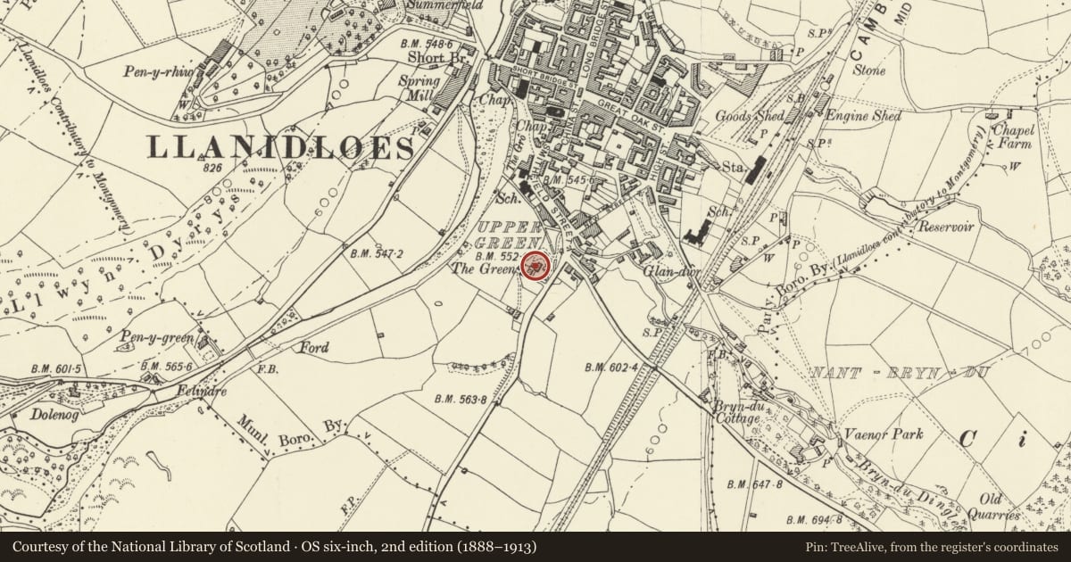 Ordnance Survey six-inch map, 2nd edition (1888–1913) covering the location of The Green, Llanidloes, Powys, with a pin at the register's coordinates
