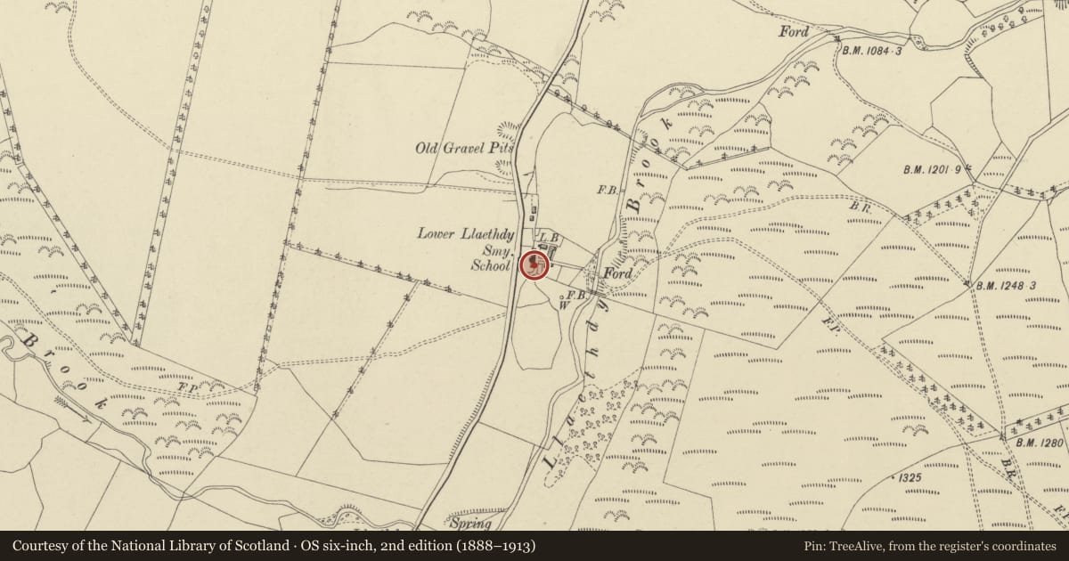 Ordnance Survey six-inch map, 2nd edition (1888–1913) covering the location of No 7 Llaithddu, Llanbadarn Fynydd, Powys, with a pin at the register's coordinates