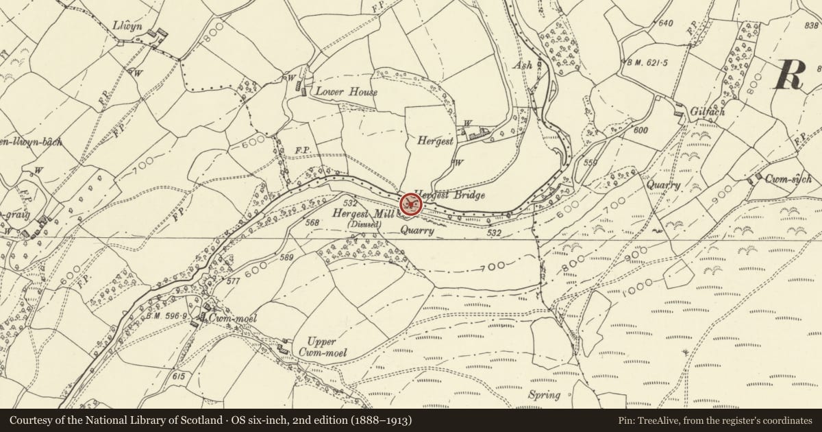 Ordnance Survey six-inch map, 2nd edition (1888–1913) covering the location of Hergest Bridge (partly in Glascwm Community), Aberedw, Powys, with a pin at the register's coordinates