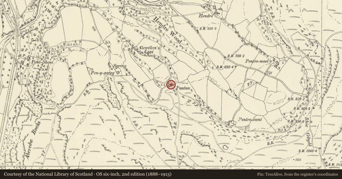 Ordnance Survey six-inch map, 2nd edition (1888–1913) covering the location of Pantau, Aberedw, Powys, with a pin at the register's coordinates
