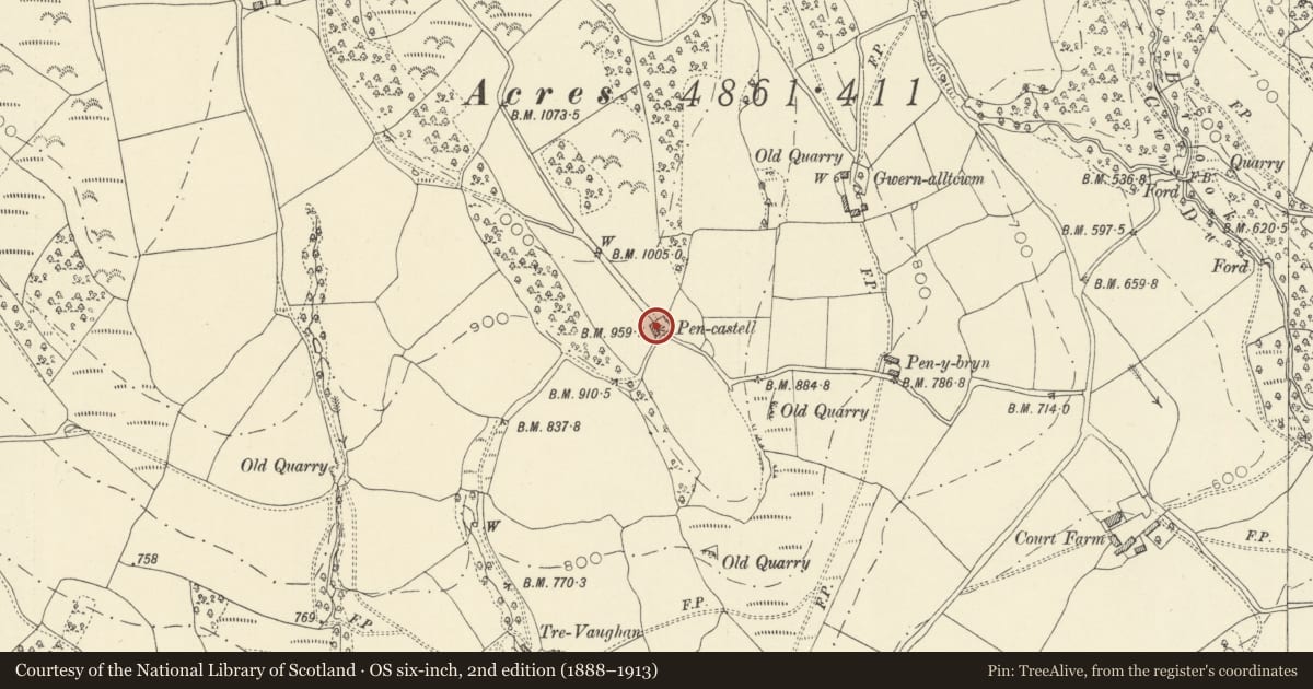 Ordnance Survey six-inch map, 2nd edition (1888–1913) covering the location of Barn at Pen-castell, Aberedw, Powys, with a pin at the register's coordinates