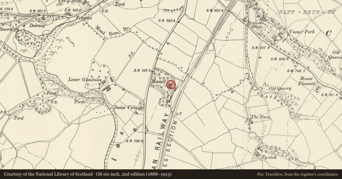 Ordnance Survey six-inch map, 2nd edition (1888–1913) covering the location of Summerhouse Folly in the grounds of Maenol, Llanidloes, Powys, with a pin at the register's coordinates