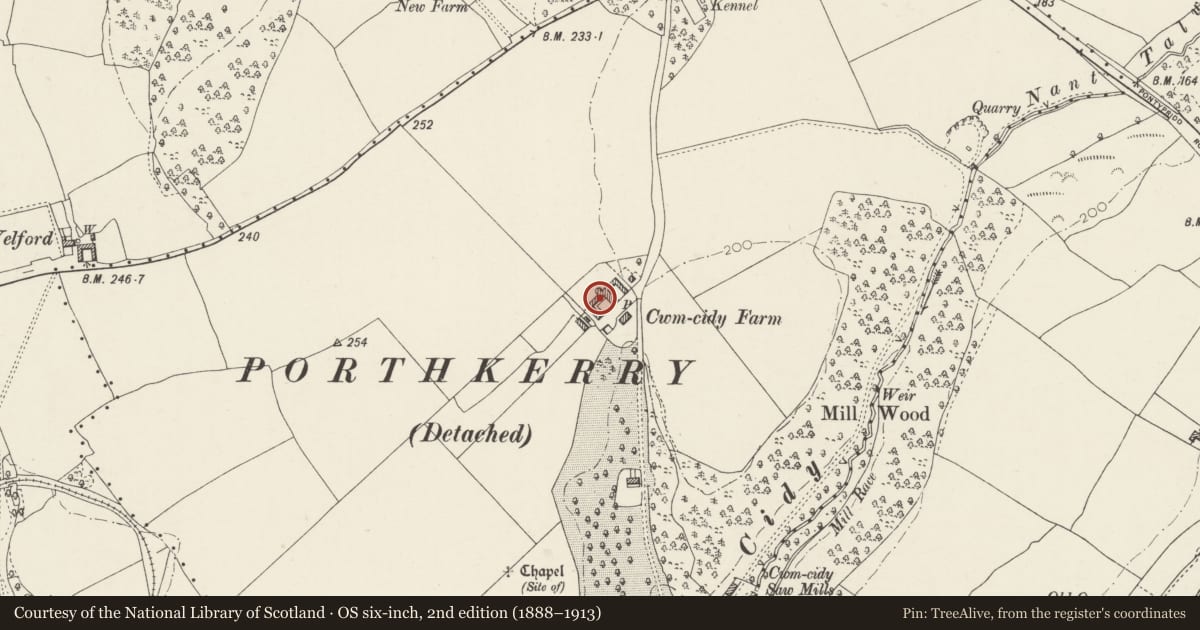 Ordnance Survey six-inch map, 2nd edition (1888–1913) covering the location of Ty-crwn, Cwm-cidy Farm, Rhoose, Vale of Glamorgan, with a pin at the register's coordinates