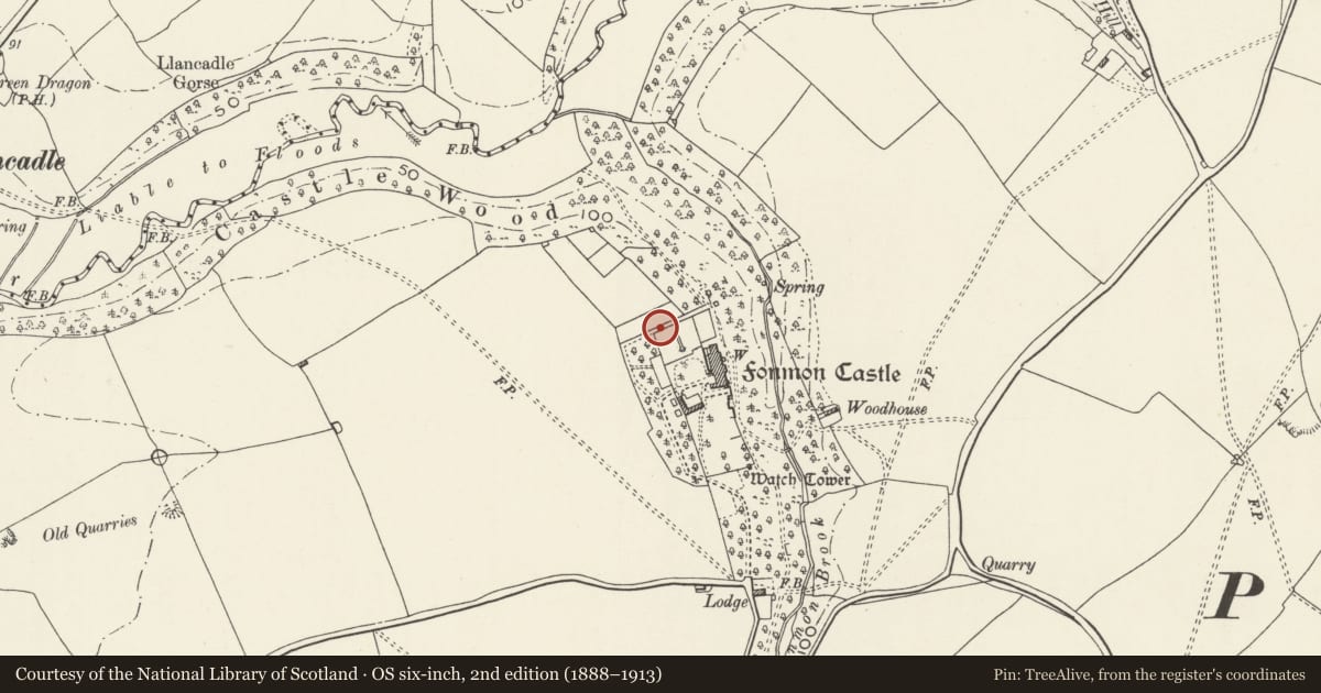 Ordnance Survey six-inch map, 2nd edition (1888–1913) covering the location of Walls of Walled Gardens at Fonmon Castle, Rhoose, Vale of Glamorgan, with a pin at the register's coordinates