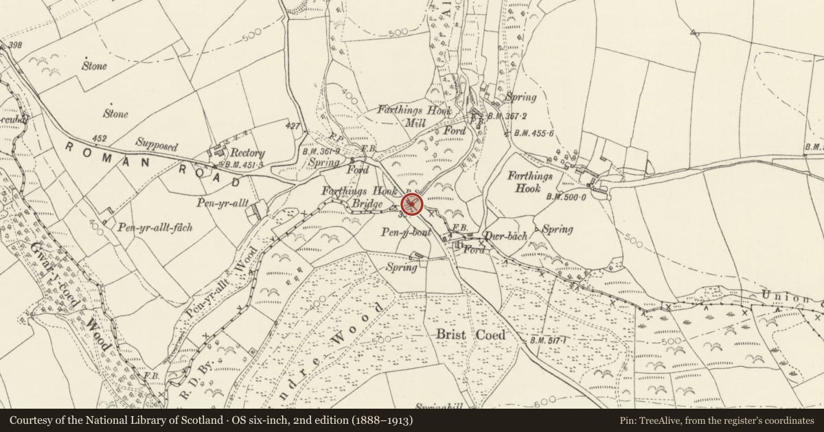 Ordnance Survey six-inch map, 2nd edition (1888–1913) covering the location of Farthings Hook Bridge (partly in Puncheston community), New Moat, Pembrokeshire, with a pin at the register's coordinates