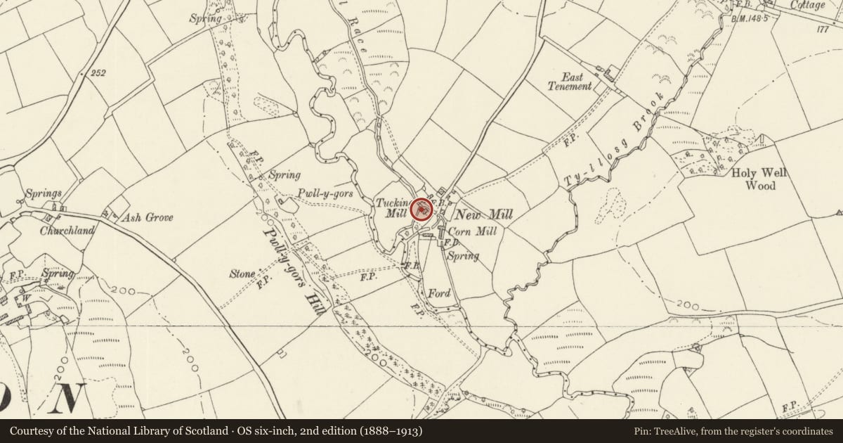 Ordnance Survey six-inch map, 2nd edition (1888–1913) covering the location of Former mill at New Mill, New Moat, Pembrokeshire, with a pin at the register's coordinates