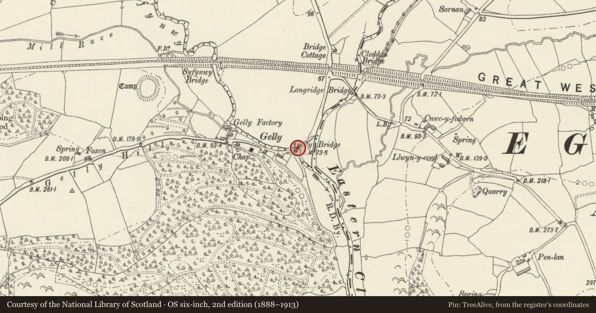 Ordnance Survey six-inch map, 2nd edition (1888–1913) covering the location of Gelli Bridge (partly in Llawhaden community), New Moat, Pembrokeshire, with a pin at the register's coordinates