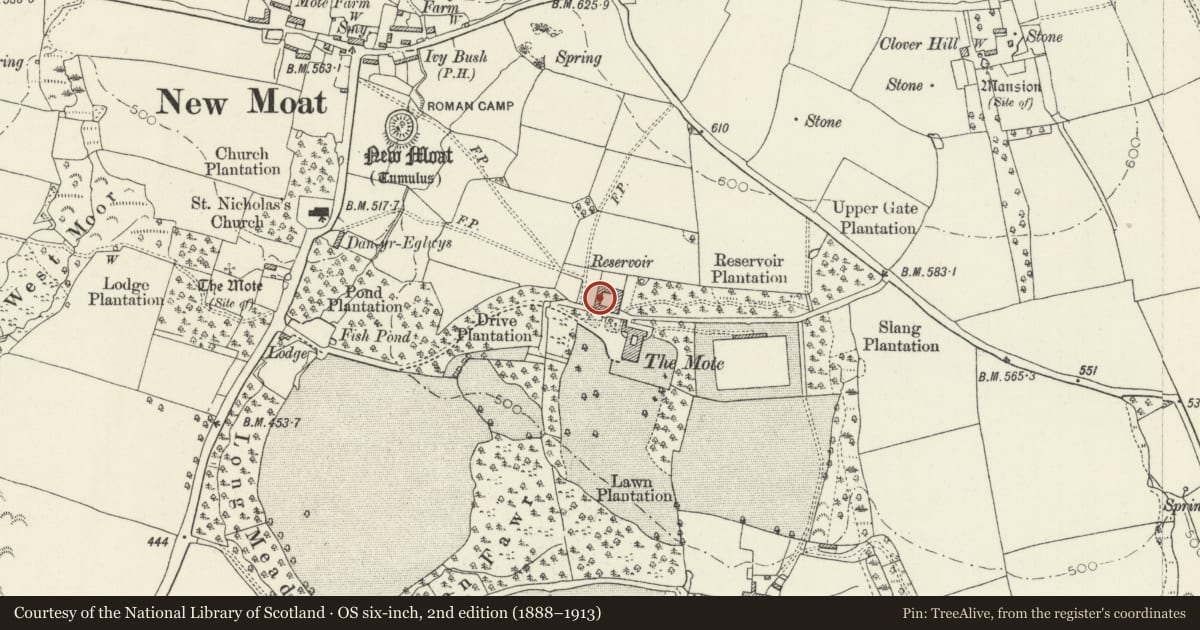 Ordnance Survey six-inch map, 2nd edition (1888–1913) covering the location of Mote House, New Moat, Pembrokeshire, with a pin at the register's coordinates