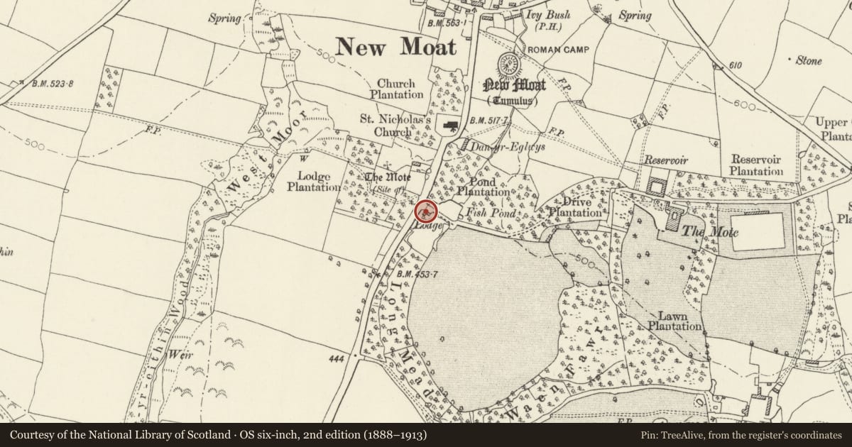 Ordnance Survey six-inch map, 2nd edition (1888–1913) covering the location of Mote Lodge, New Moat, Pembrokeshire, with a pin at the register's coordinates