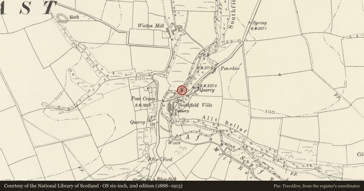 Ordnance Survey six-inch map, 2nd edition (1888–1913) covering the location of Nyth y Dryw/Wren's Nest, New Moat, Pembrokeshire, with a pin at the register's coordinates