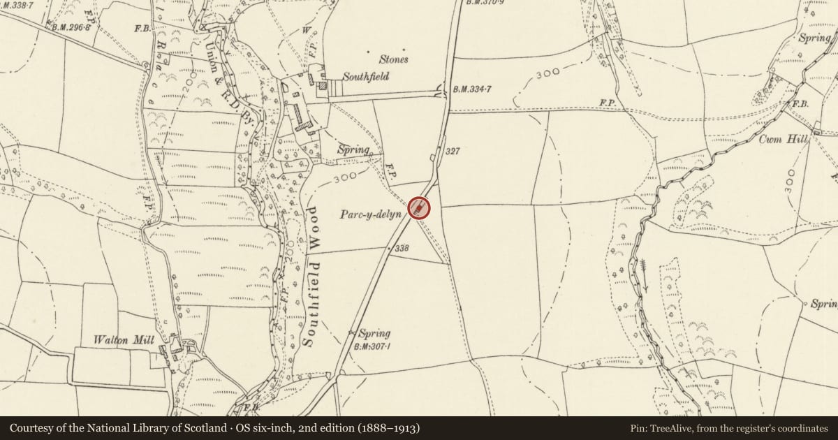 Ordnance Survey six-inch map, 2nd edition (1888–1913) covering the location of Parc-y-delyn, New Moat, Pembrokeshire, with a pin at the register's coordinates