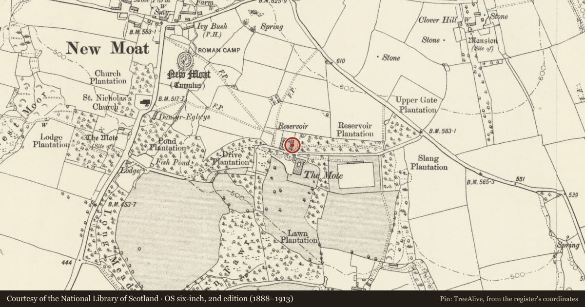 Ordnance Survey six-inch map, 2nd edition (1888–1913) covering the location of Stable block opposite Mote House, New Moat, Pembrokeshire, with a pin at the register's coordinates