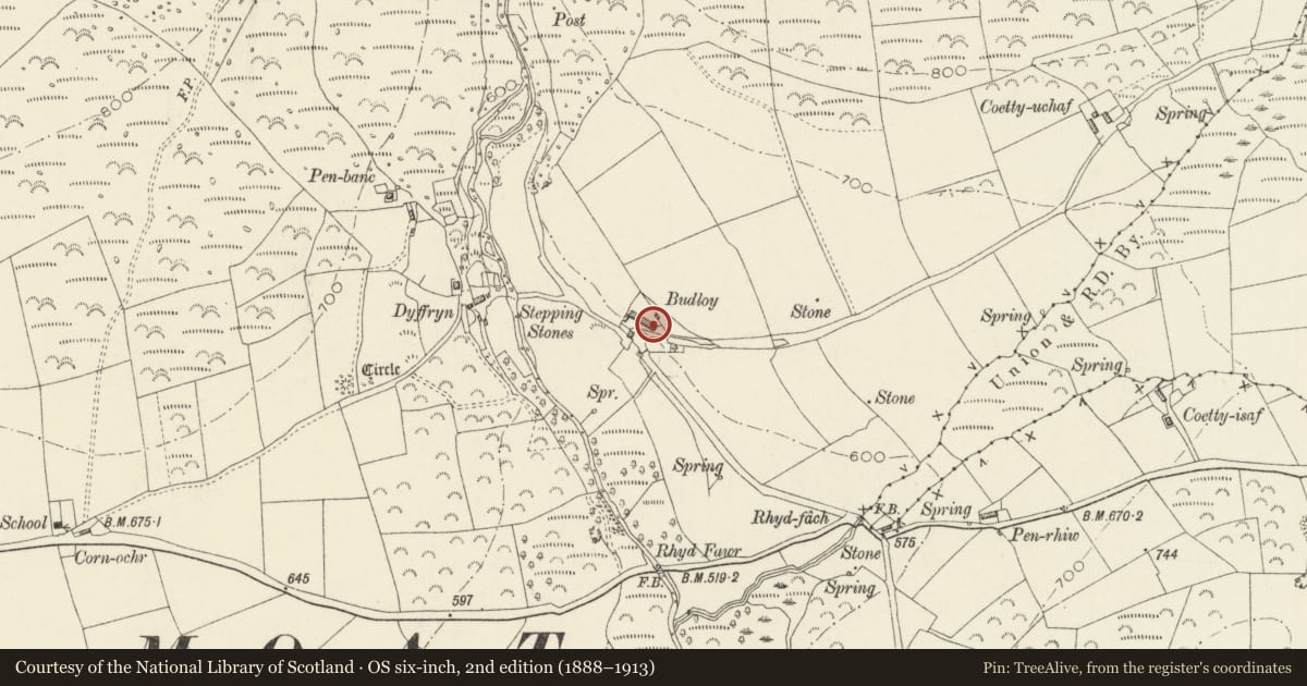 Ordnance Survey six-inch map, 2nd edition (1888–1913) covering the location of Budloy, Maenclochog, Pembrokeshire, with a pin at the register's coordinates