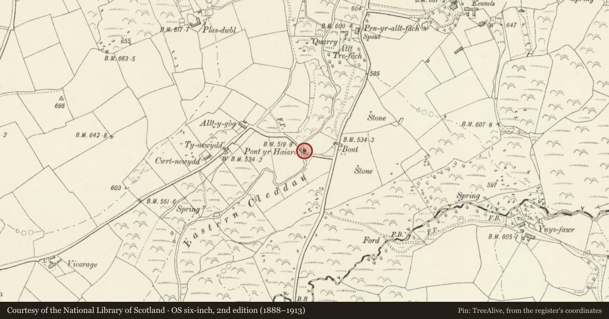 Ordnance Survey six-inch map, 2nd edition (1888–1913) covering the location of Pont yr Haiarn, Mynachlog-Ddu, Pembrokeshire, with a pin at the register's coordinates