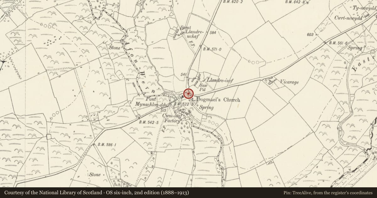 Ordnance Survey six-inch map, 2nd edition (1888–1913) covering the location of Telephone Call-box outside Church of Saint Dogmael (01994 419212), Mynachlog-Ddu, Pembrokeshire, with a pin at the register's coordinates