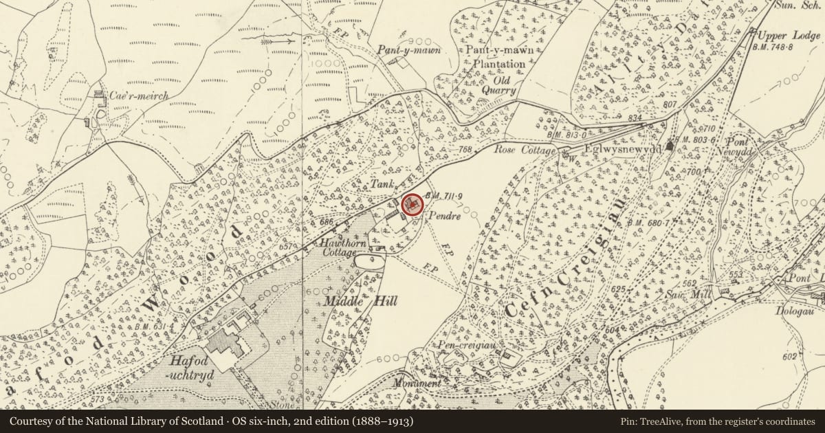 Ordnance Survey six-inch map, 2nd edition (1888–1913) covering the location of Pendre, including wall to yard, Pontarfynach, Ceredigion, with a pin at the register's coordinates