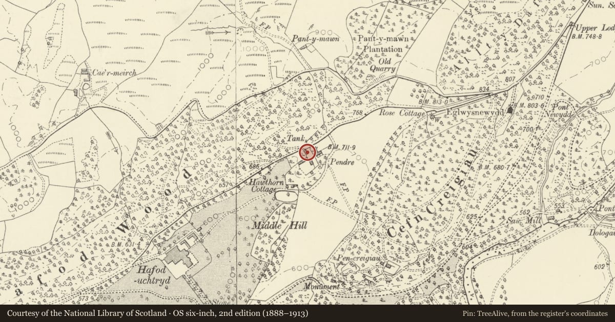Ordnance Survey six-inch map, 2nd edition (1888–1913) covering the location of Outbuilding W of entrance to Pendre Isaf, Pontarfynach, Ceredigion, with a pin at the register's coordinates