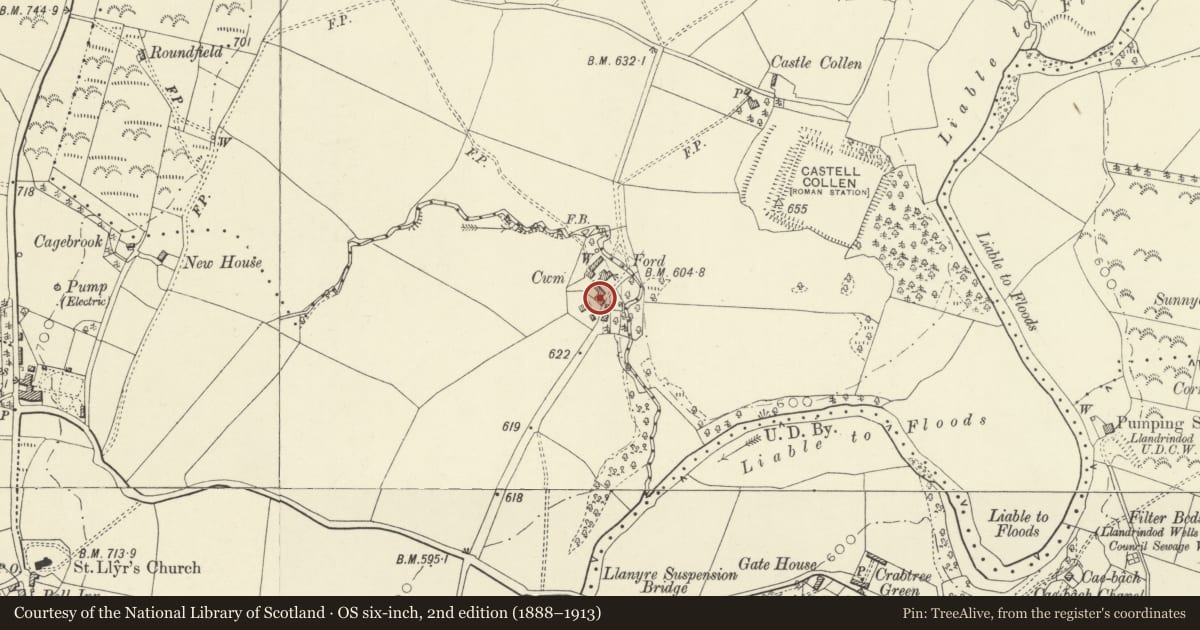 Ordnance Survey six-inch map, 2nd edition (1888–1913) covering the location of Barn at Cwm Farm, Llanyre, Powys, with a pin at the register's coordinates