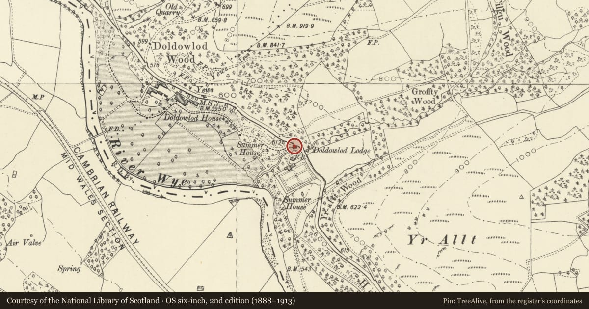 Ordnance Survey six-inch map, 2nd edition (1888–1913) covering the location of Doldowlod Lodge, Llanyre, Powys, with a pin at the register's coordinates
