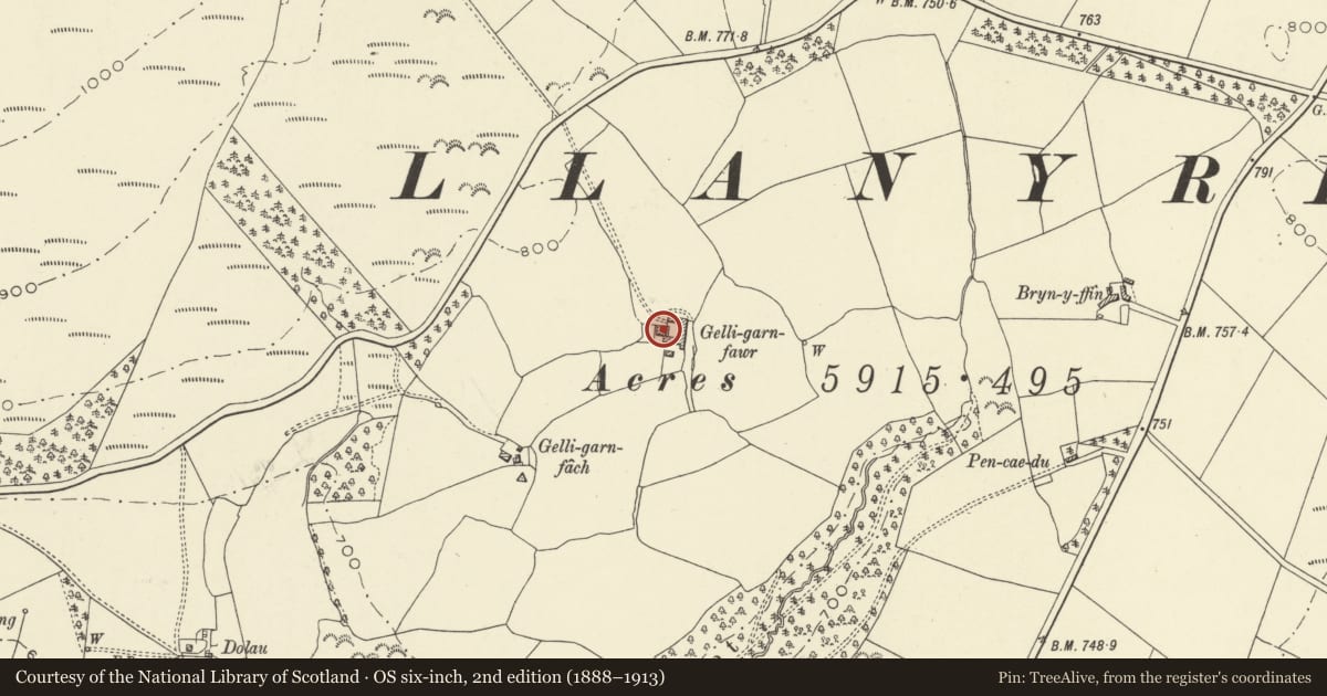 Ordnance Survey six-inch map, 2nd edition (1888–1913) covering the location of Gelligarn Farmhouse, Llanyre, Powys, with a pin at the register's coordinates