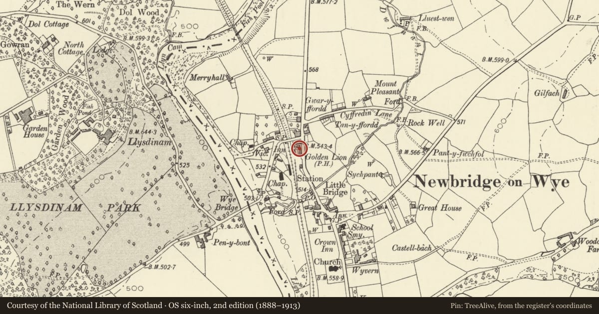 Ordnance Survey six-inch map, 2nd edition (1888–1913) covering the location of Lion Cottage, Llanyre, Powys, with a pin at the register's coordinates
