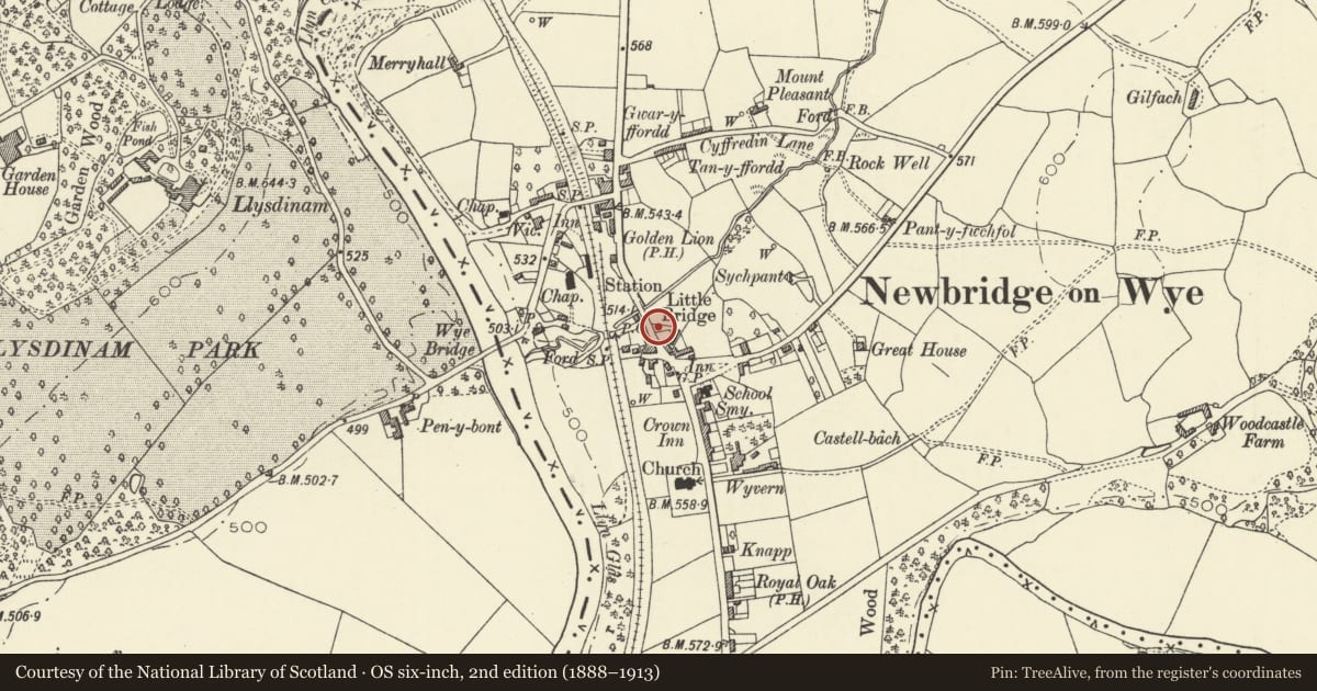 Ordnance Survey six-inch map, 2nd edition (1888–1913) covering the location of Milestone on A470, Llanyre, Powys, with a pin at the register's coordinates